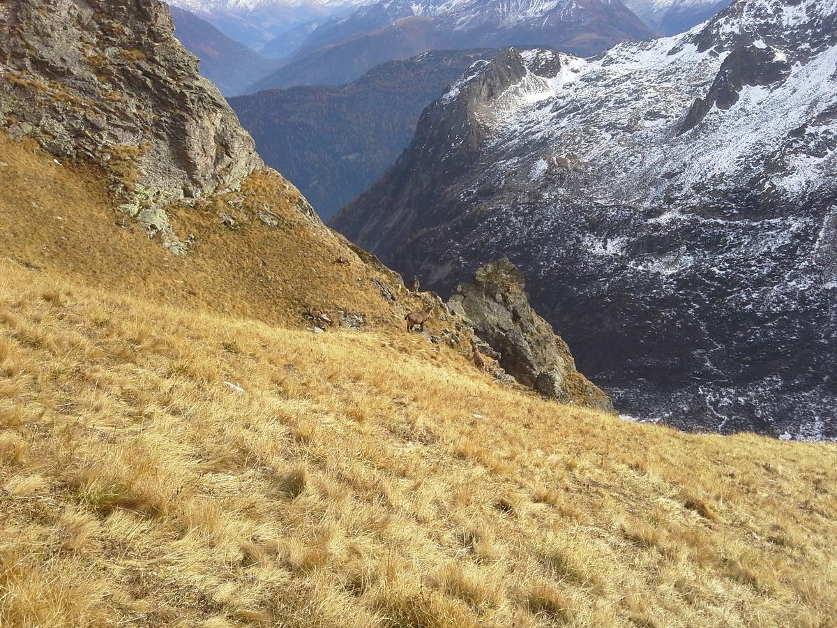 Lieu Secret Dans Les Alpes Suisses Villa Le Tretien Exterior photo